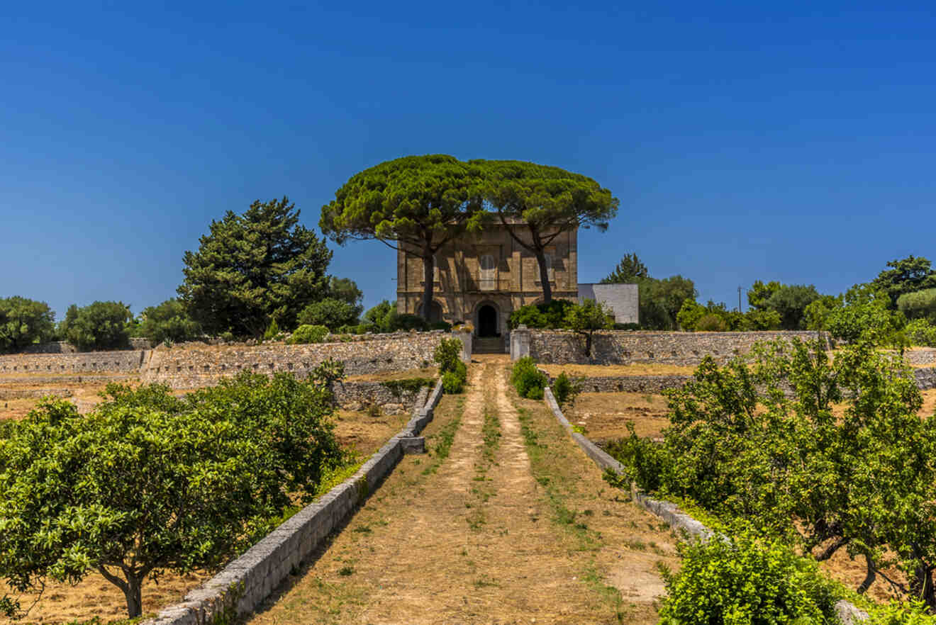 13 Ostuni olive oil on a tour 1 1