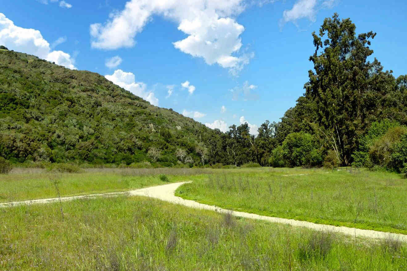 A grassy field with a path leading to a mountain.