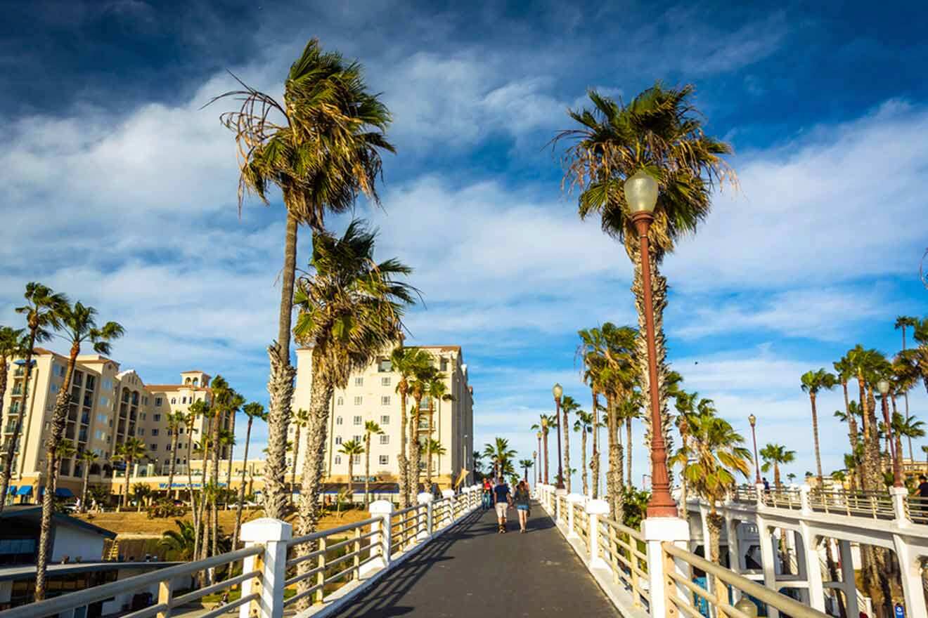 palm trees line the boardwalk of a resort