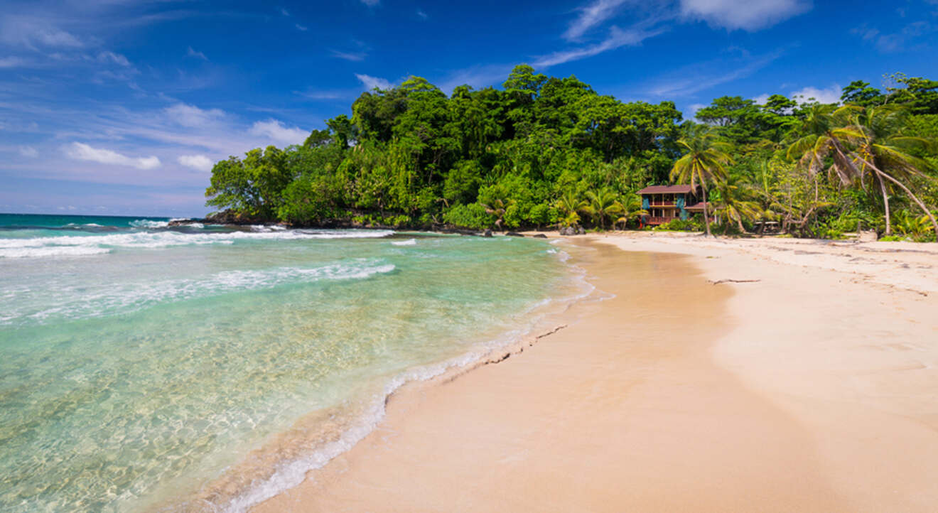 a sandy beach with crystal clear water and lush trees in the background