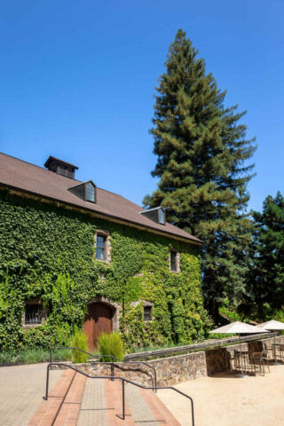 house covered in ivy next to stairs and large trees