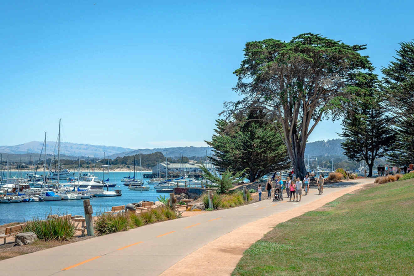 People walking along a path near a marina.