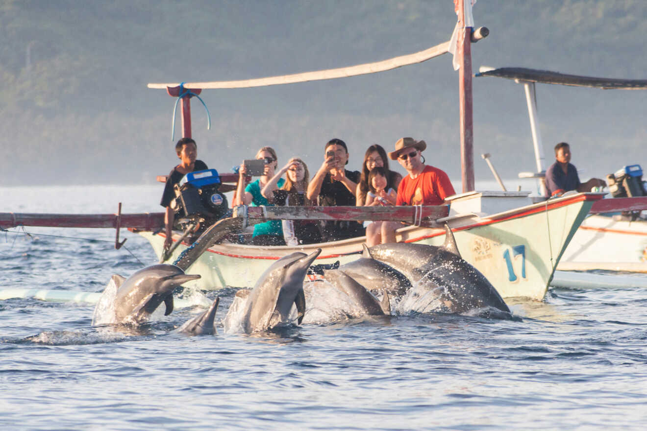 A group of people on a boat watching dolphins.