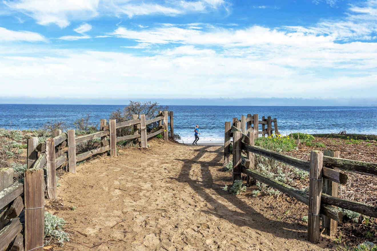 A dirt path leading to the ocean.