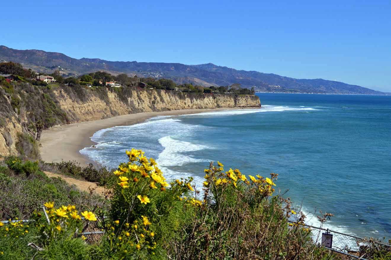 view of the beach from a cliff with flowers