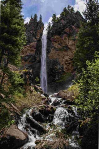 A waterfall in the middle of a forest.