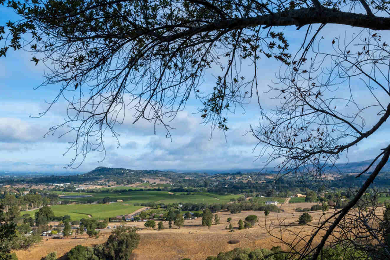 landscape with lots of trees, hills and houses