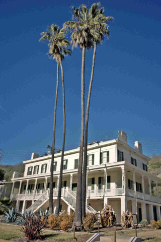 white building with palm trees and other plants in front of it