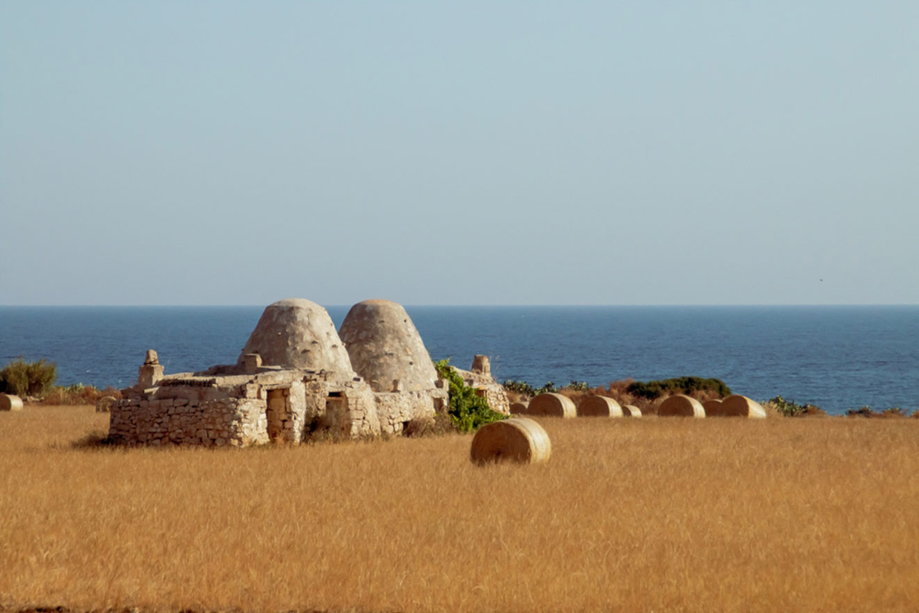 A field with hay bales and a view of the ocean.