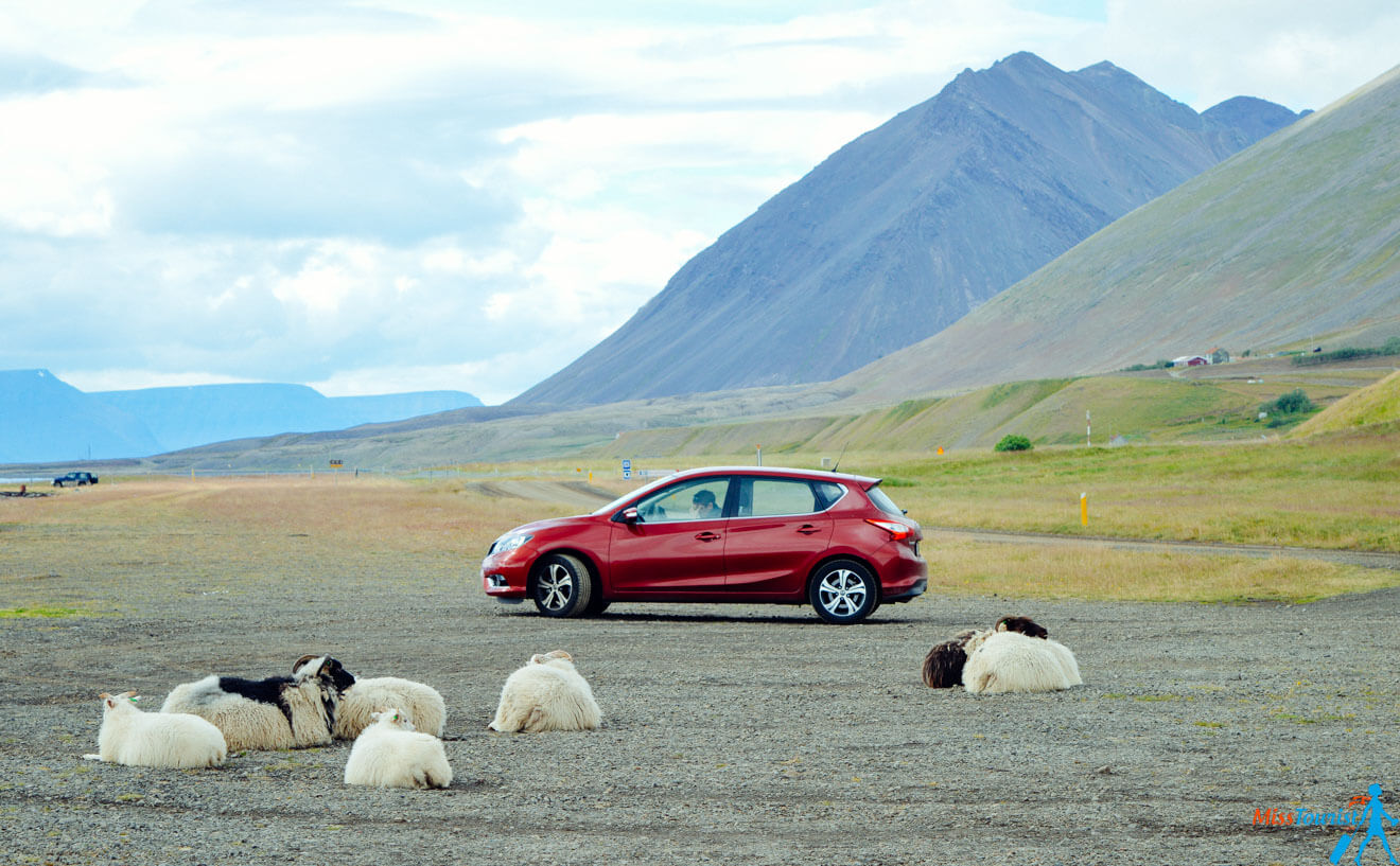 a red car parked in a field with sheeps