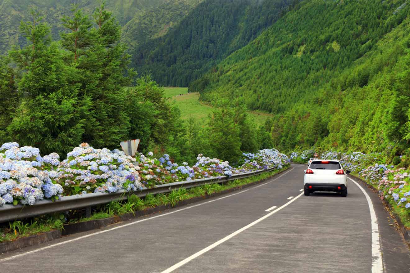 A car driving down a mountain road with flowers in the background