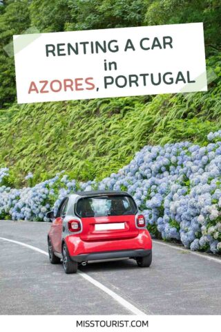 car driving on a road with flowers