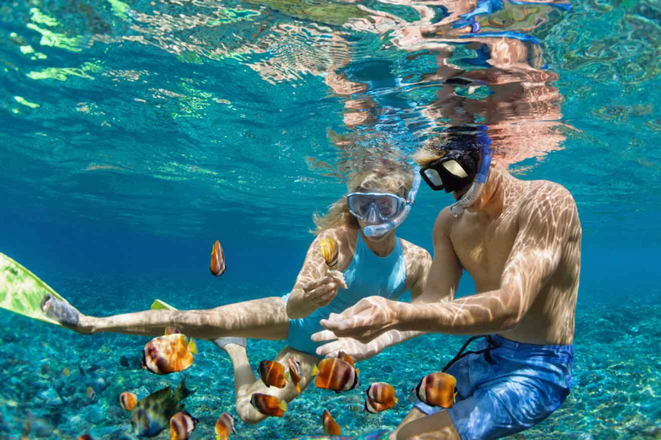 tourists snorkeling and watching fish swimming