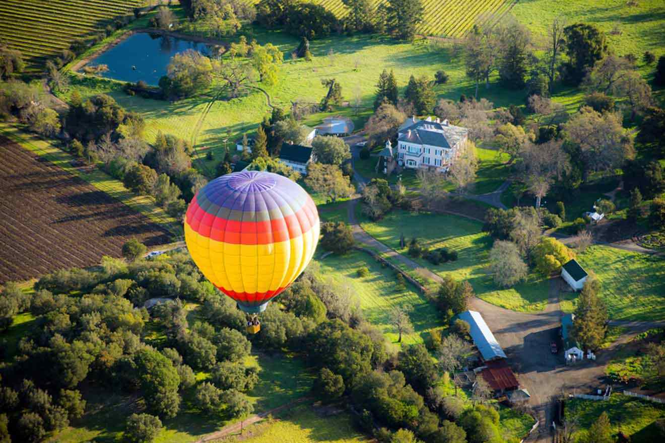 a hot air balloon flying over a lush green field