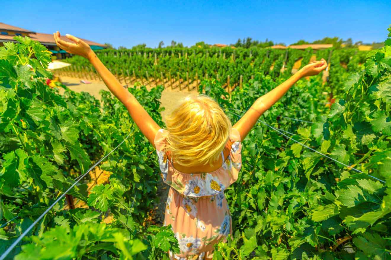 tourist in a vineyard