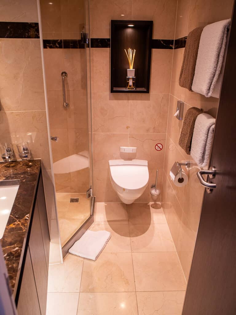 Toilet and shower in a bathroom