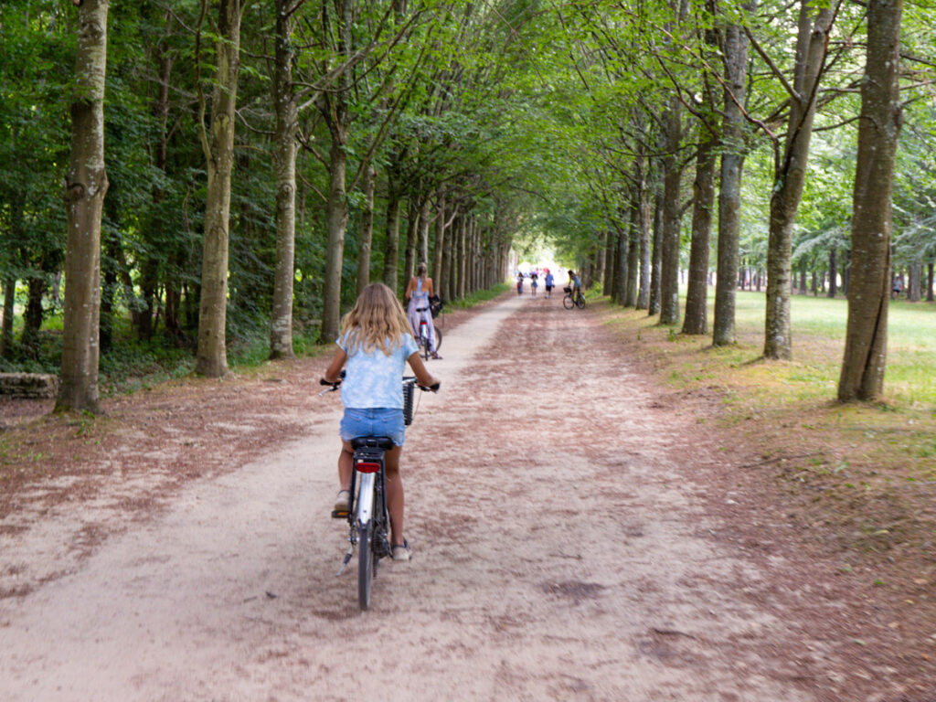 savanna riding bike through forest