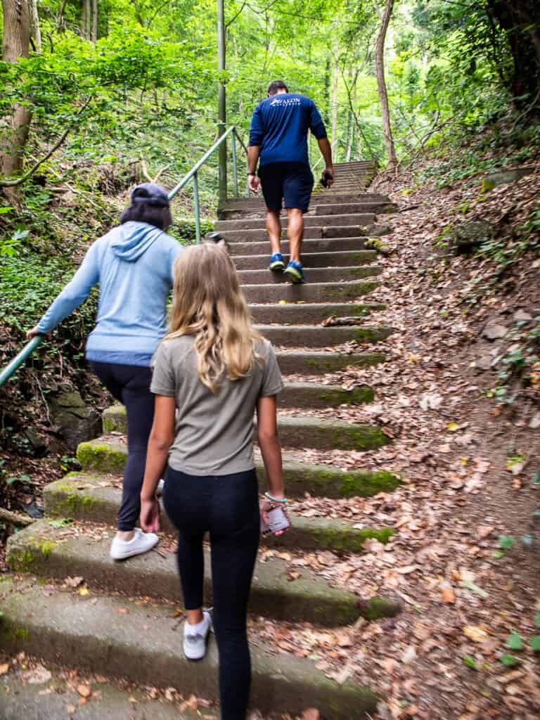 Three people walking up steps through a forest