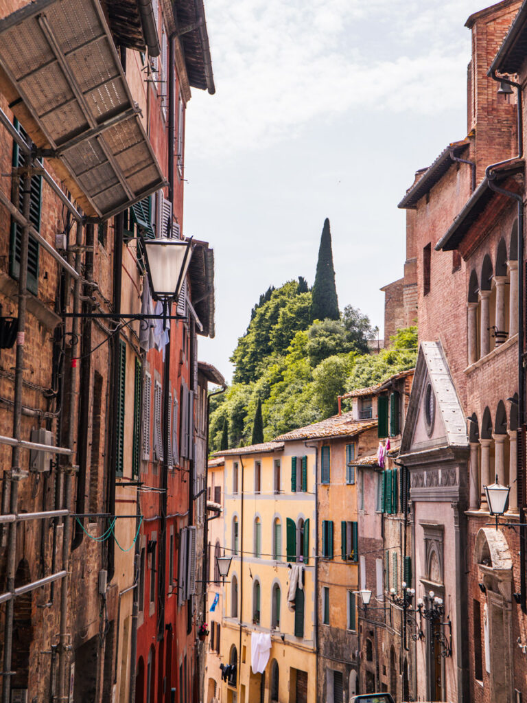 colorful buildings on a hilly street with trees in the background