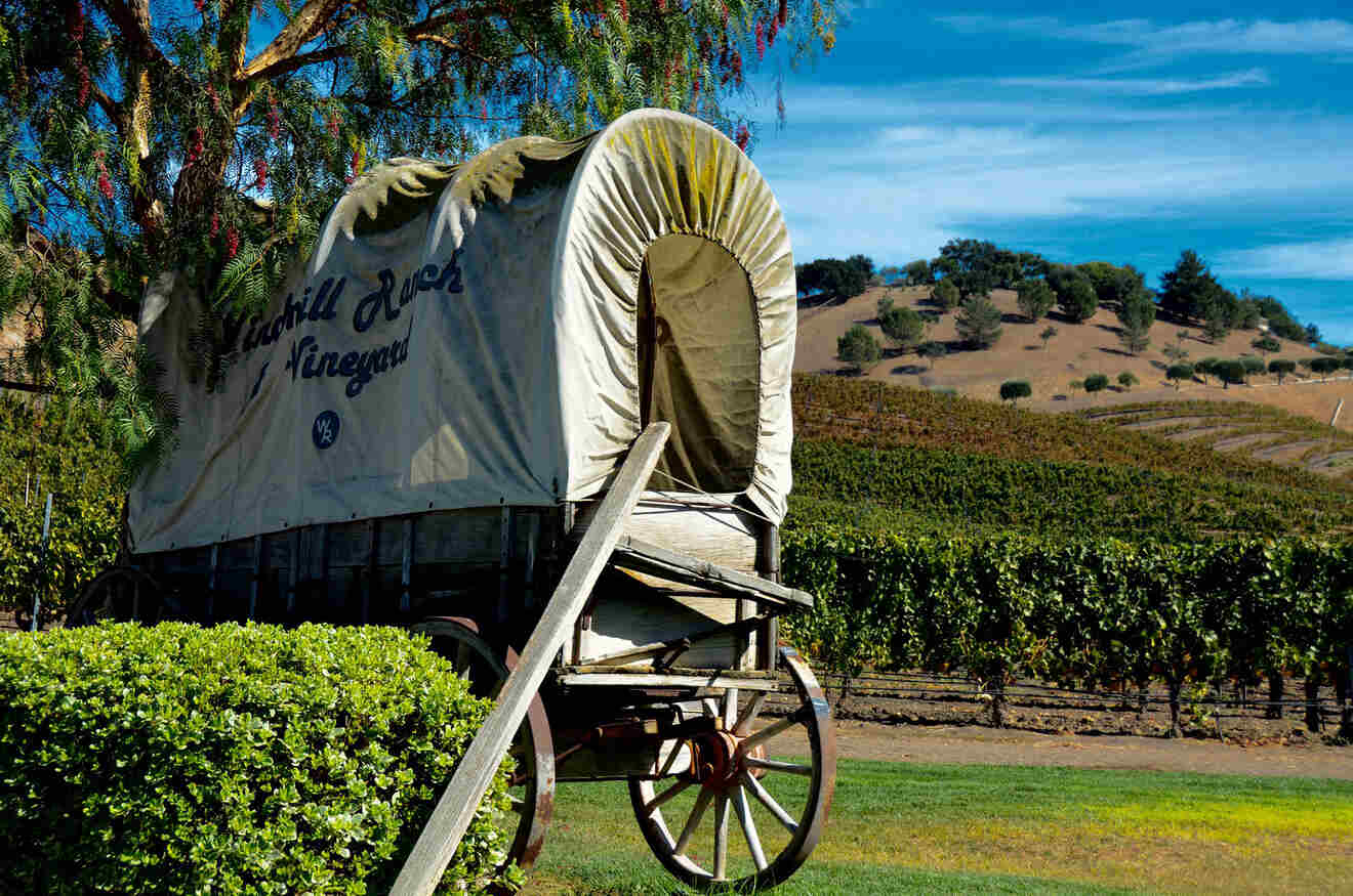 an old horse carriage