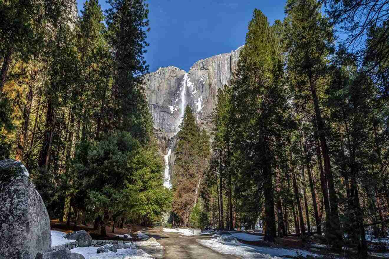 trail surrounded by trees leading to a waterfall