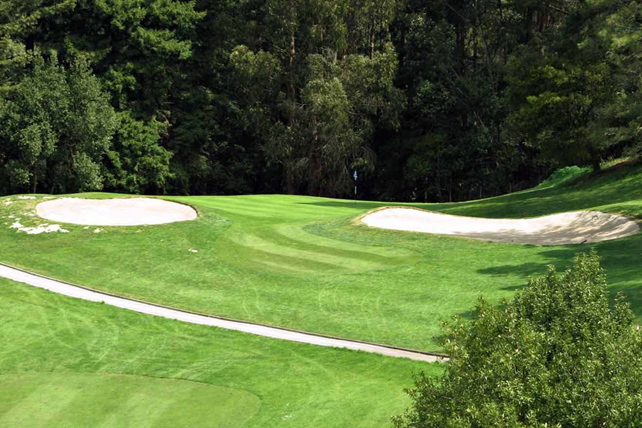 golf course with a forest in the background