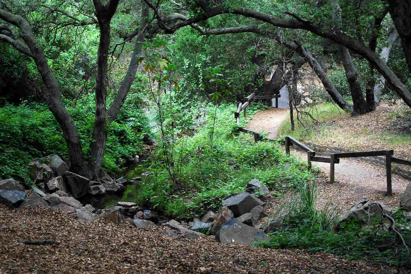 a path in a park