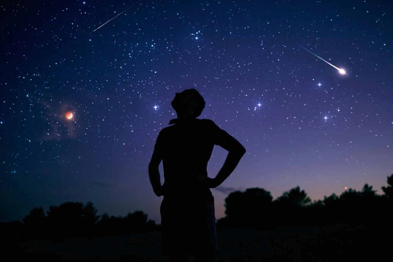 person looking at the stars with tree silhouettes in the background