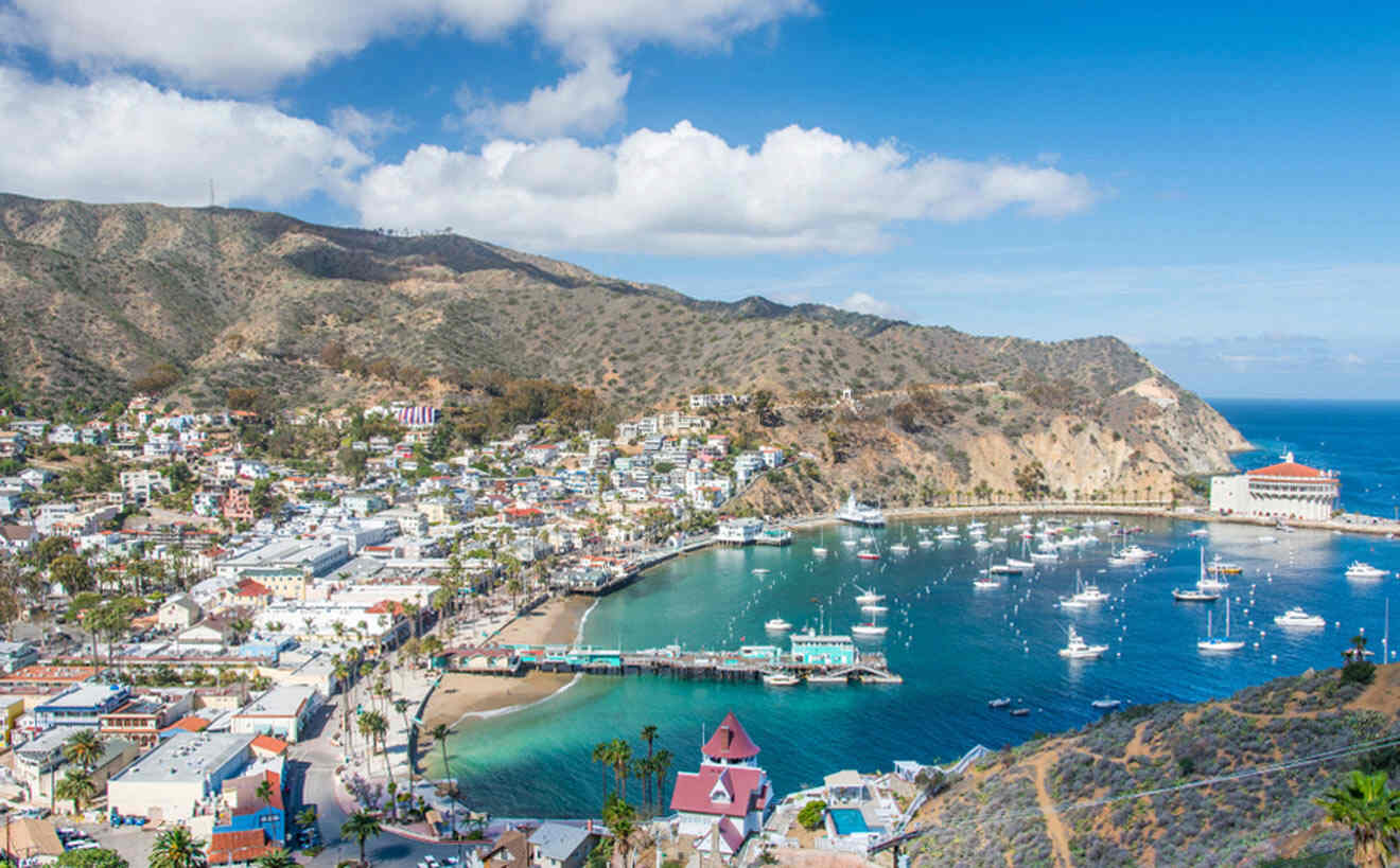 aerial view over the bay with docked boats