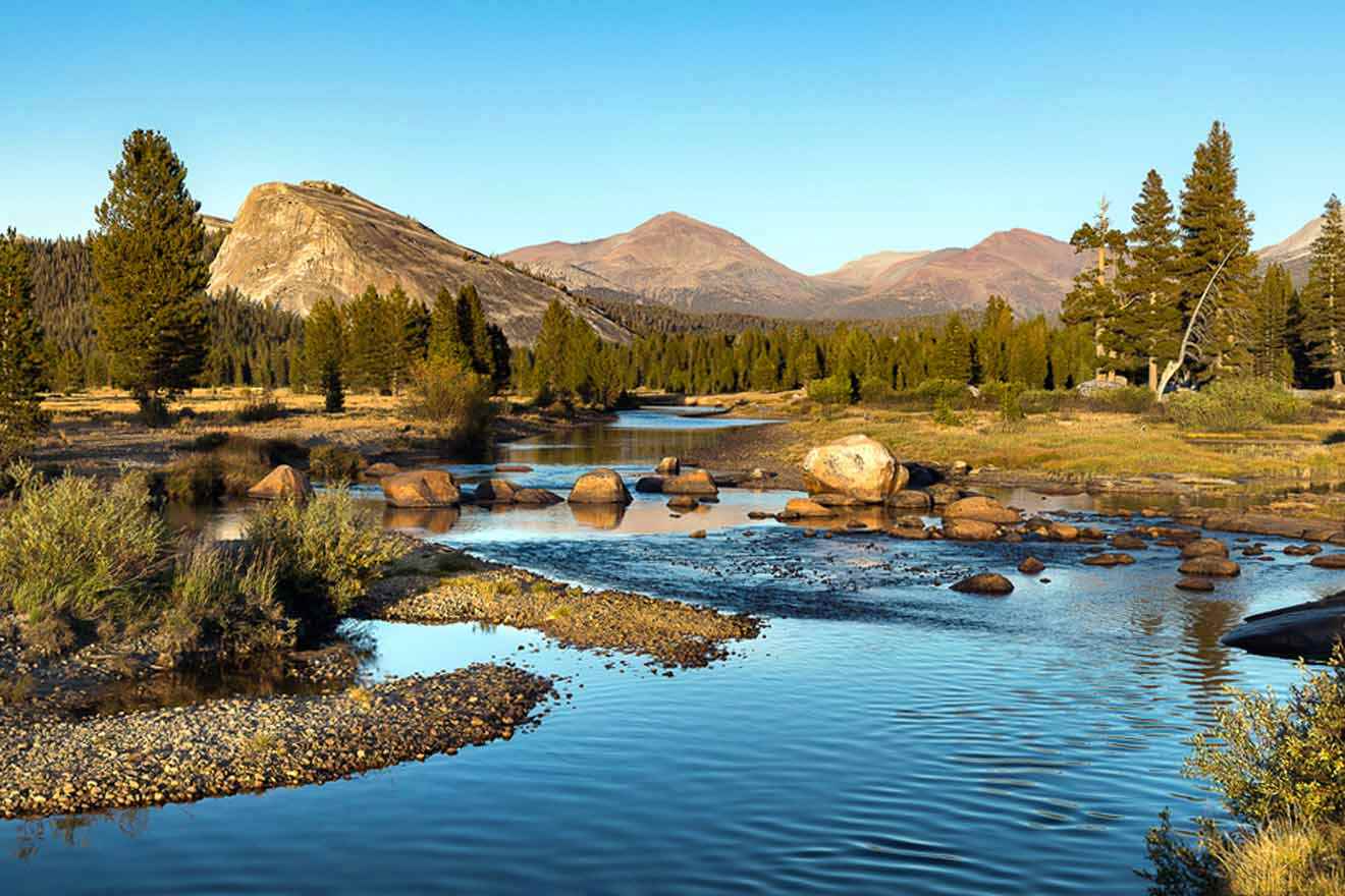 The yosemite river in yosemite national park.