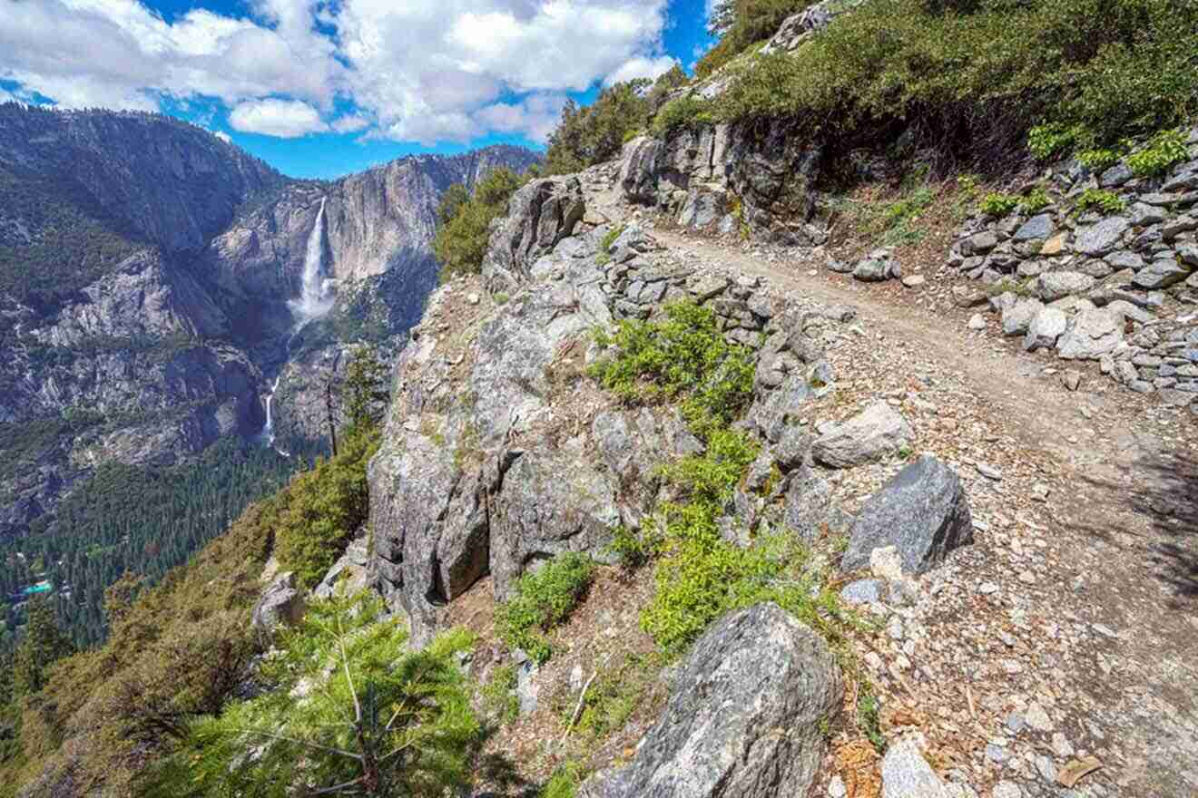 rocky trail with trees and greenery