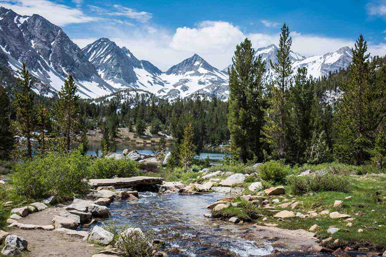 A stream runs through a forest with mountains in the background.