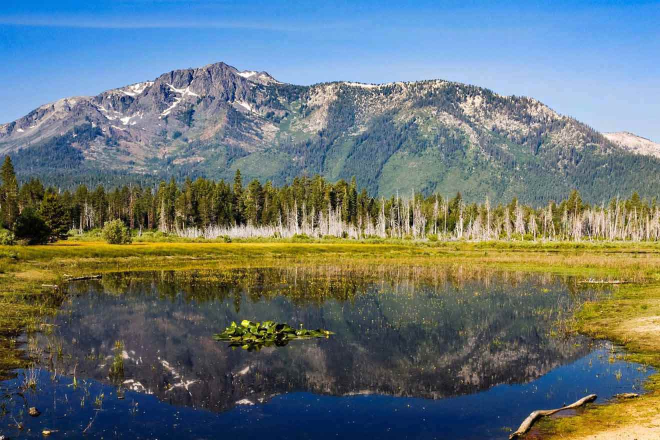 A lake surrounded by mountains and trees.