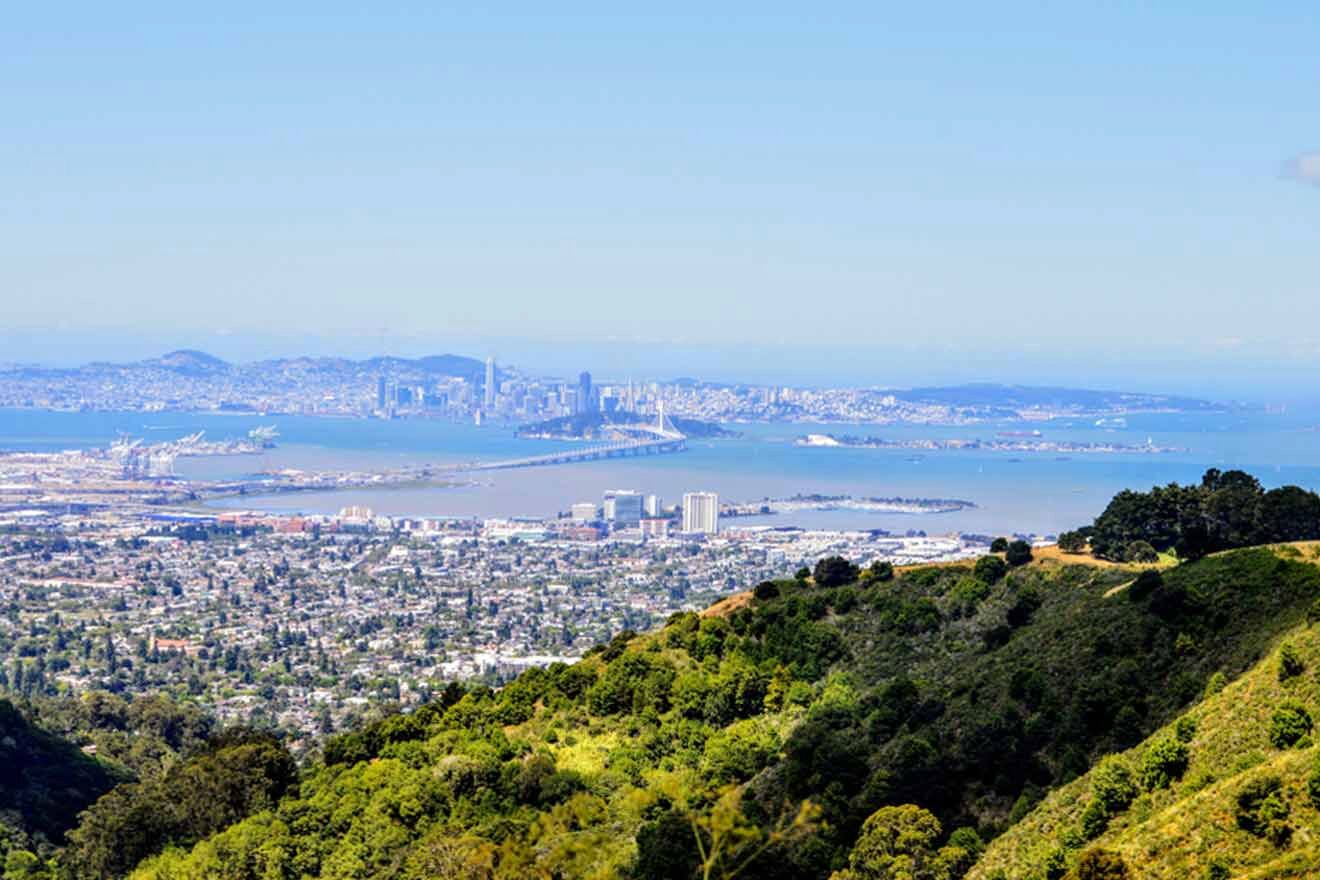 A view of a city from the top of a hill.