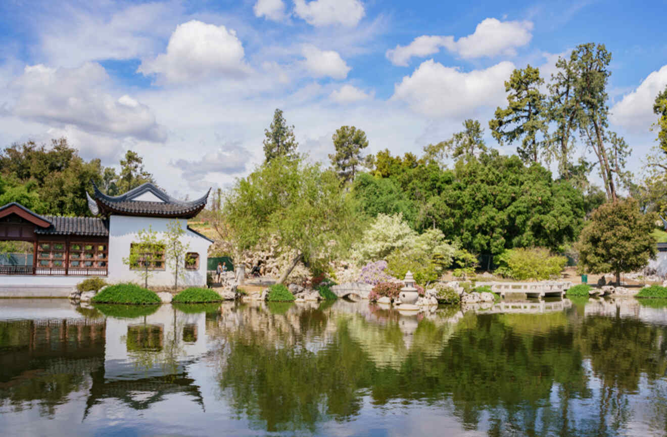 view of a pond with Japanese building on the edge