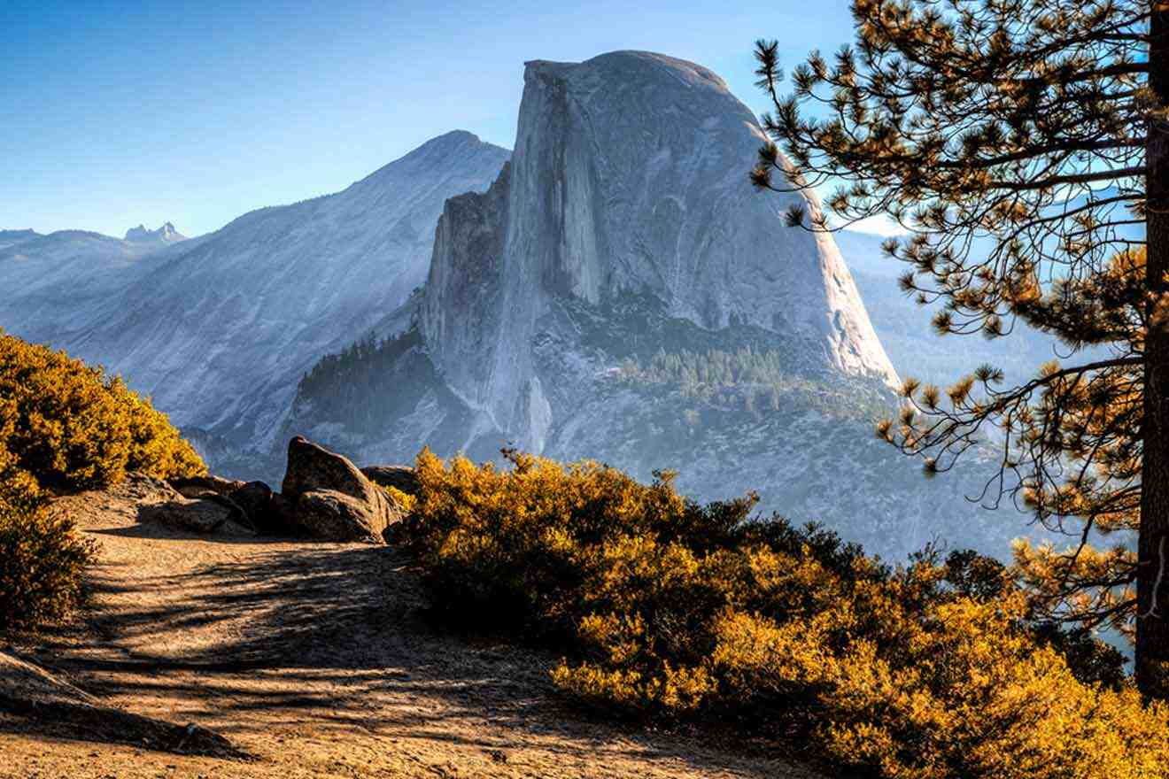 trail next to a rock