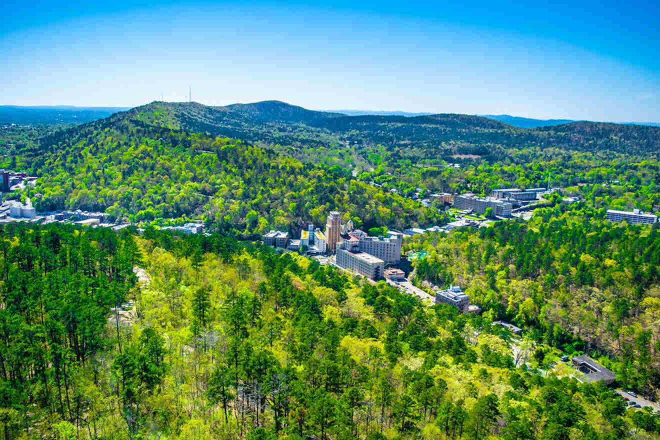 aerial view of a city in the woods