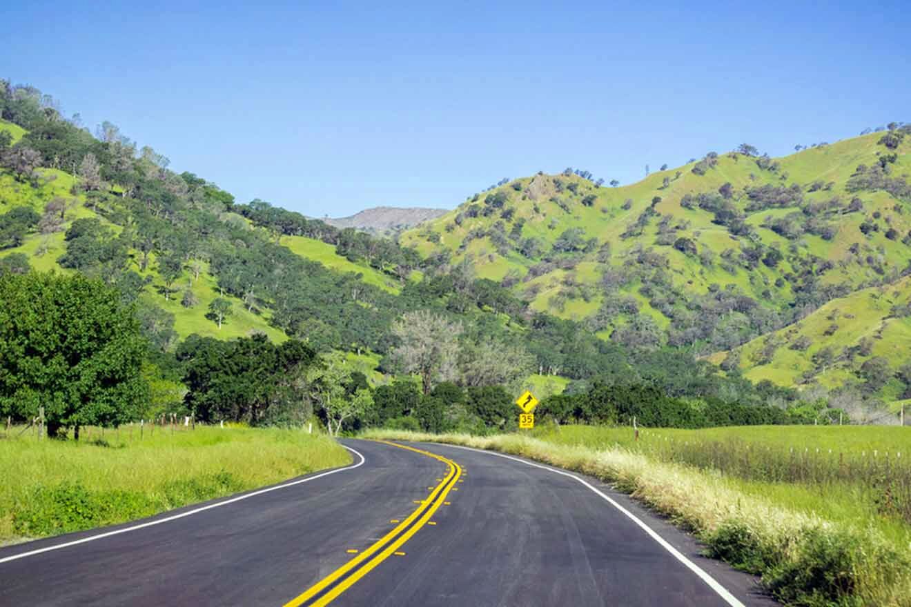 A road in the middle of a green field.