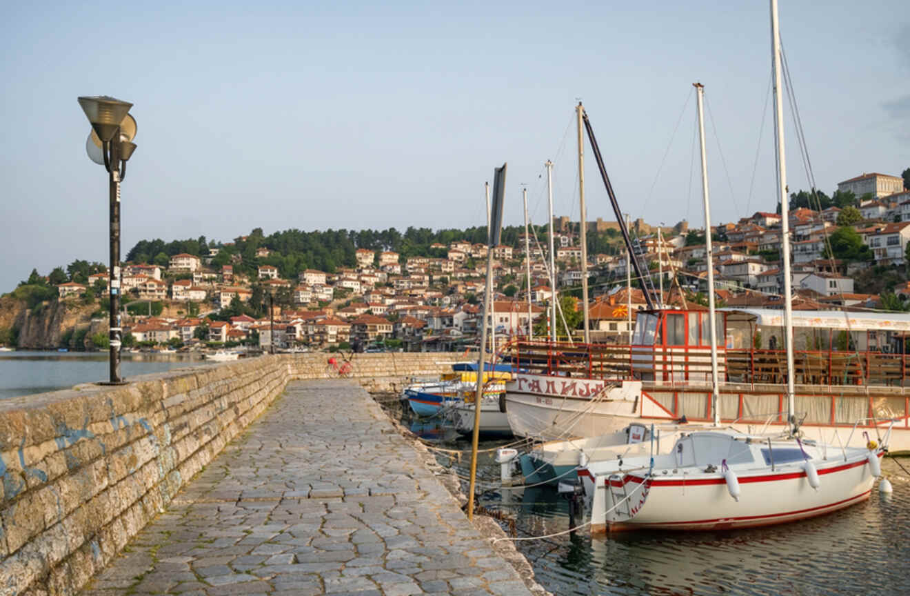 boats harbored on a dock with a city in the background