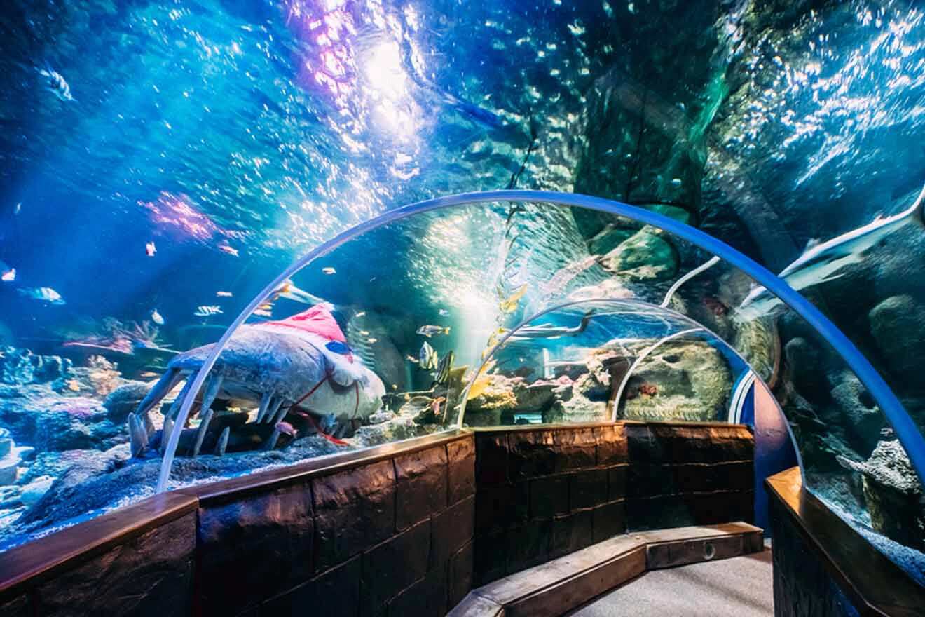 A large aquarium with a lot of fish in it.