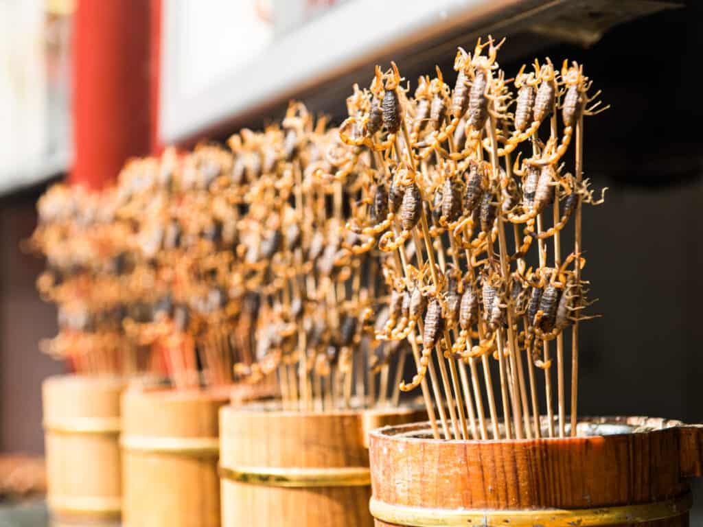 Grill and fried scorpions on stick in market stall