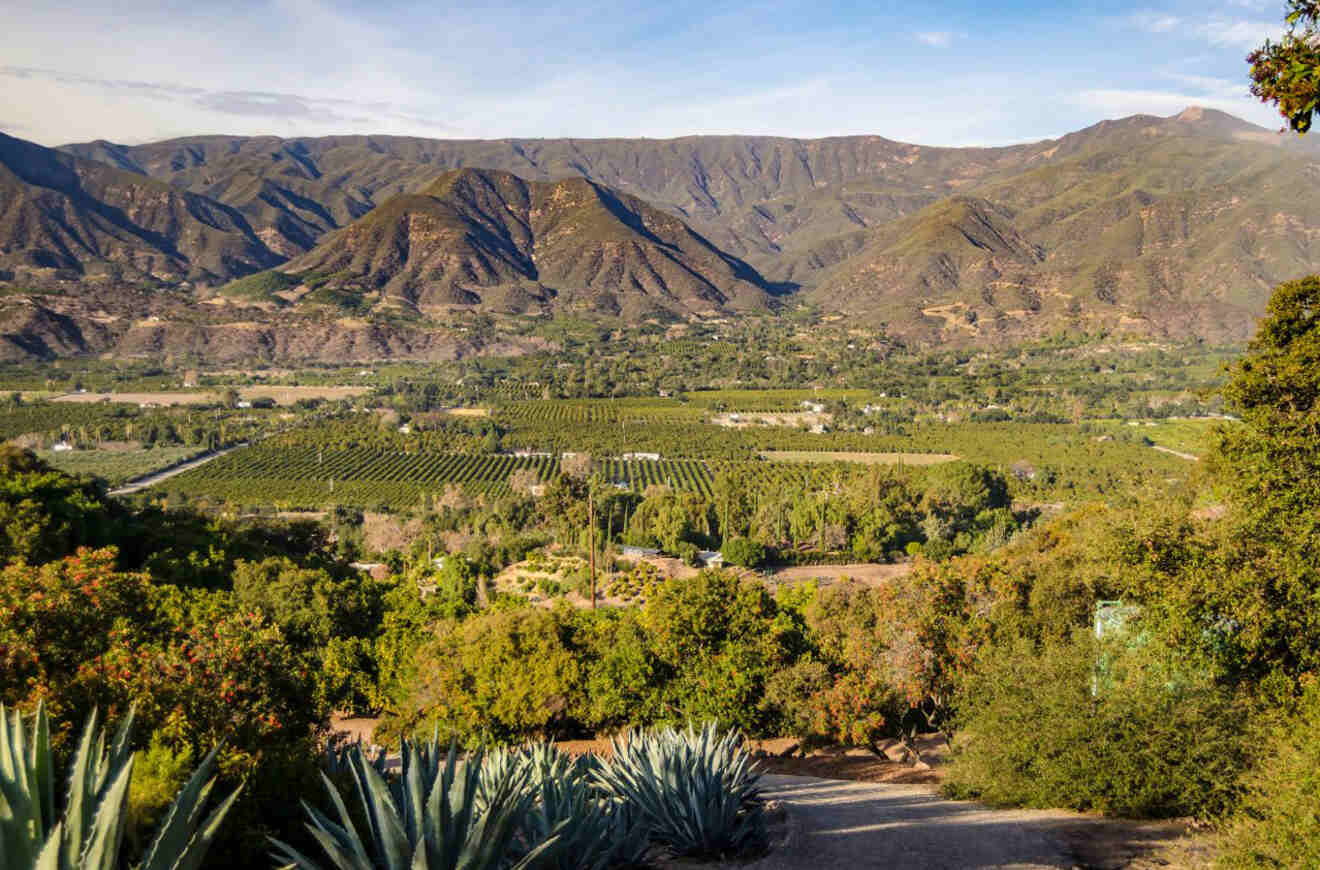 aerial view of a valley