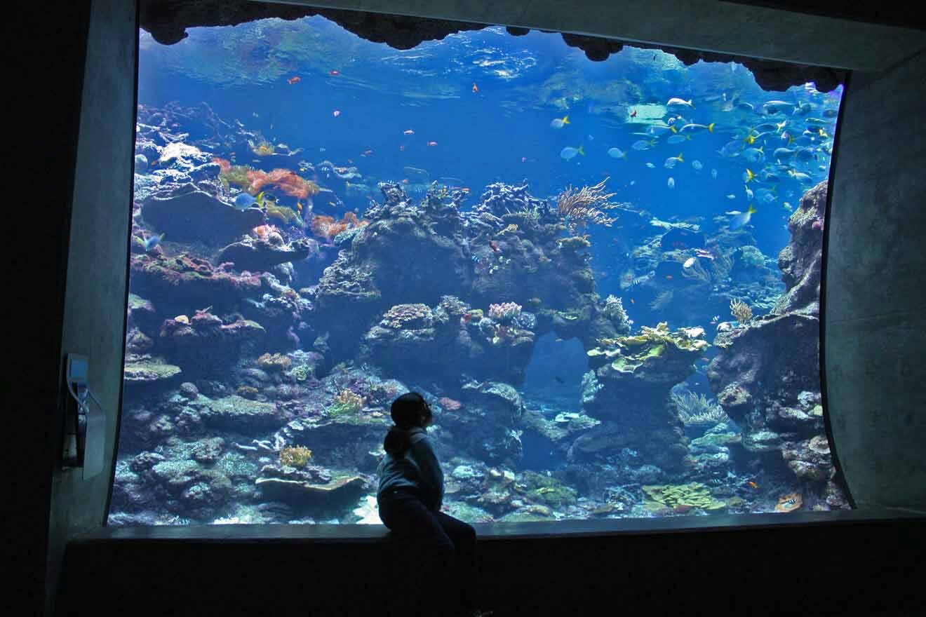 a girl watching the fish swimming at an aquarium