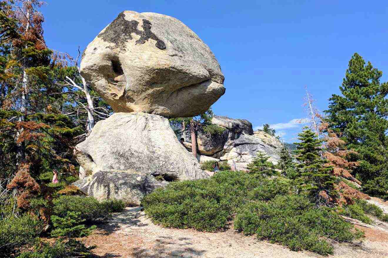 A large rock in the middle of a forest.