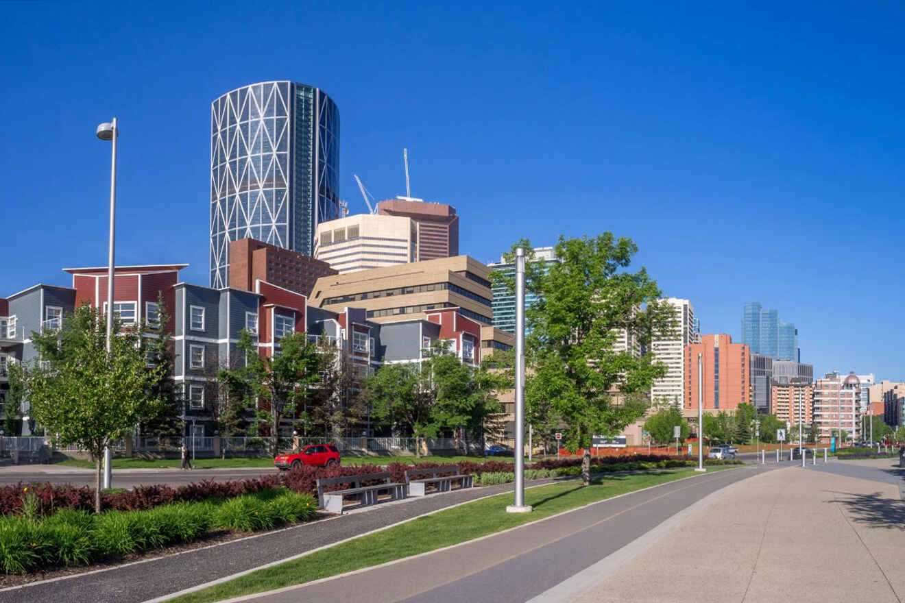 view of a street in the city with trees and buildings in the background