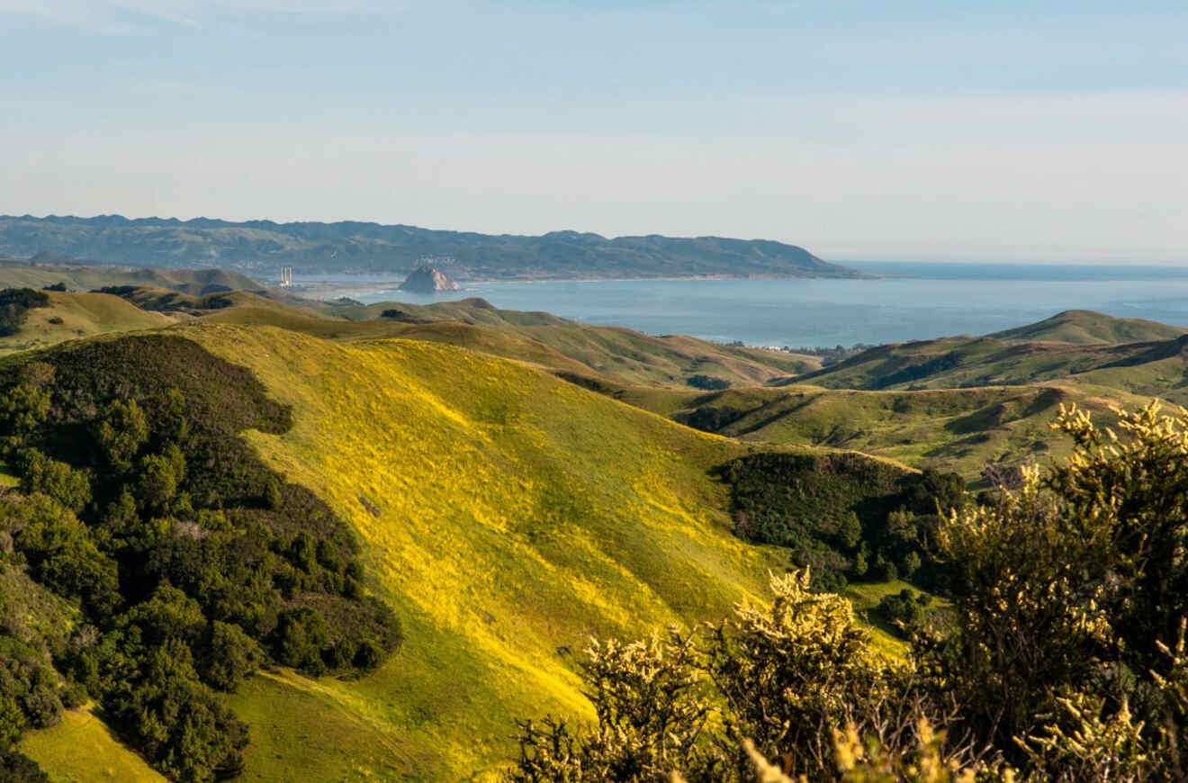 aerial view of mountains by the ocean