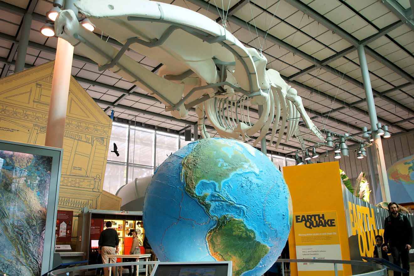 A large model of a whale skeleton with the globe under it