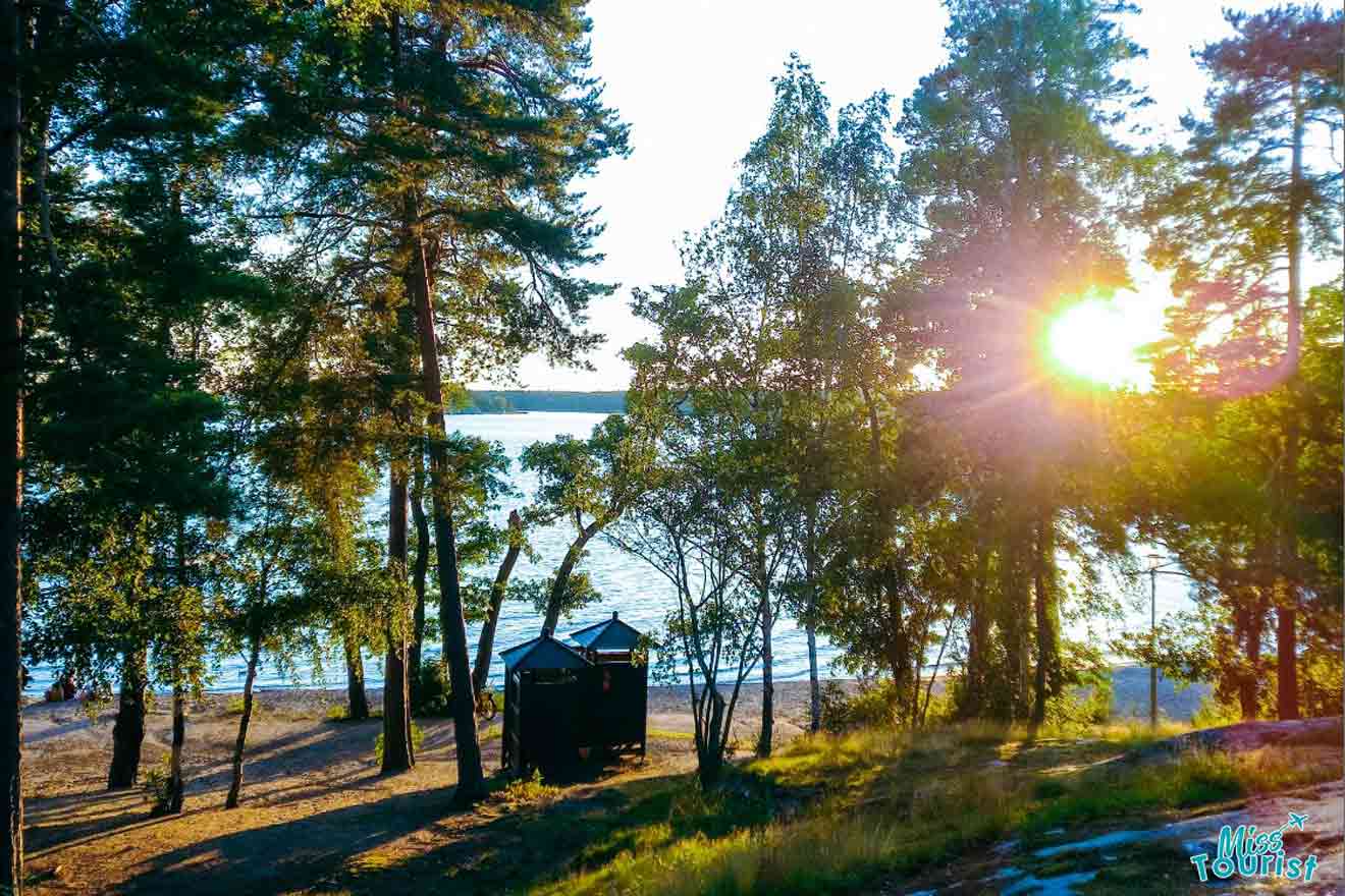 The sun is setting over a lake with trees in the background.