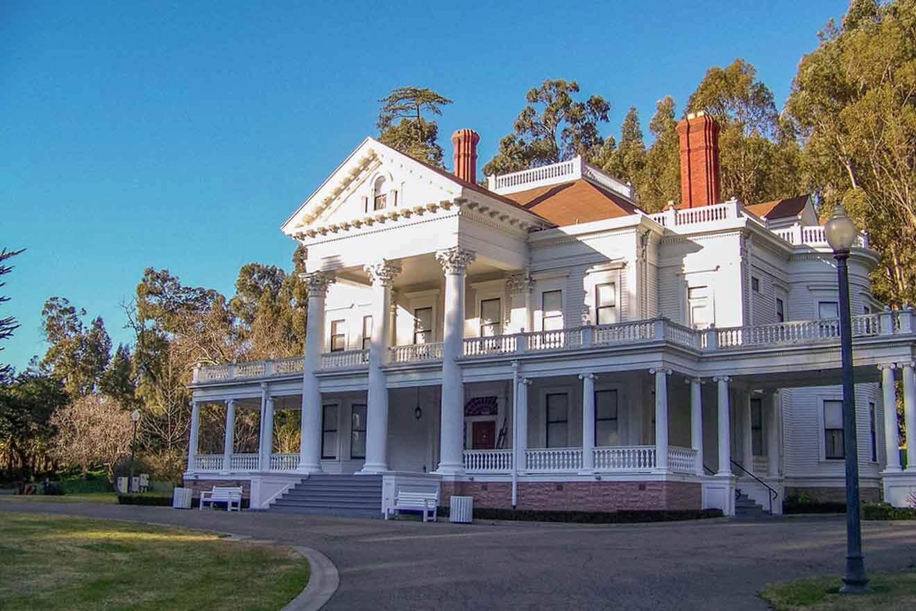 large white house surrounded by trees