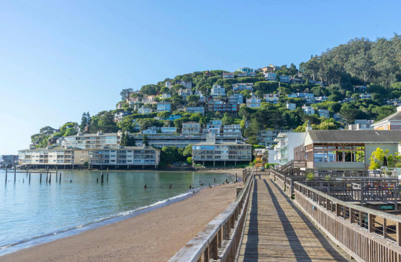 view of a city on the coast